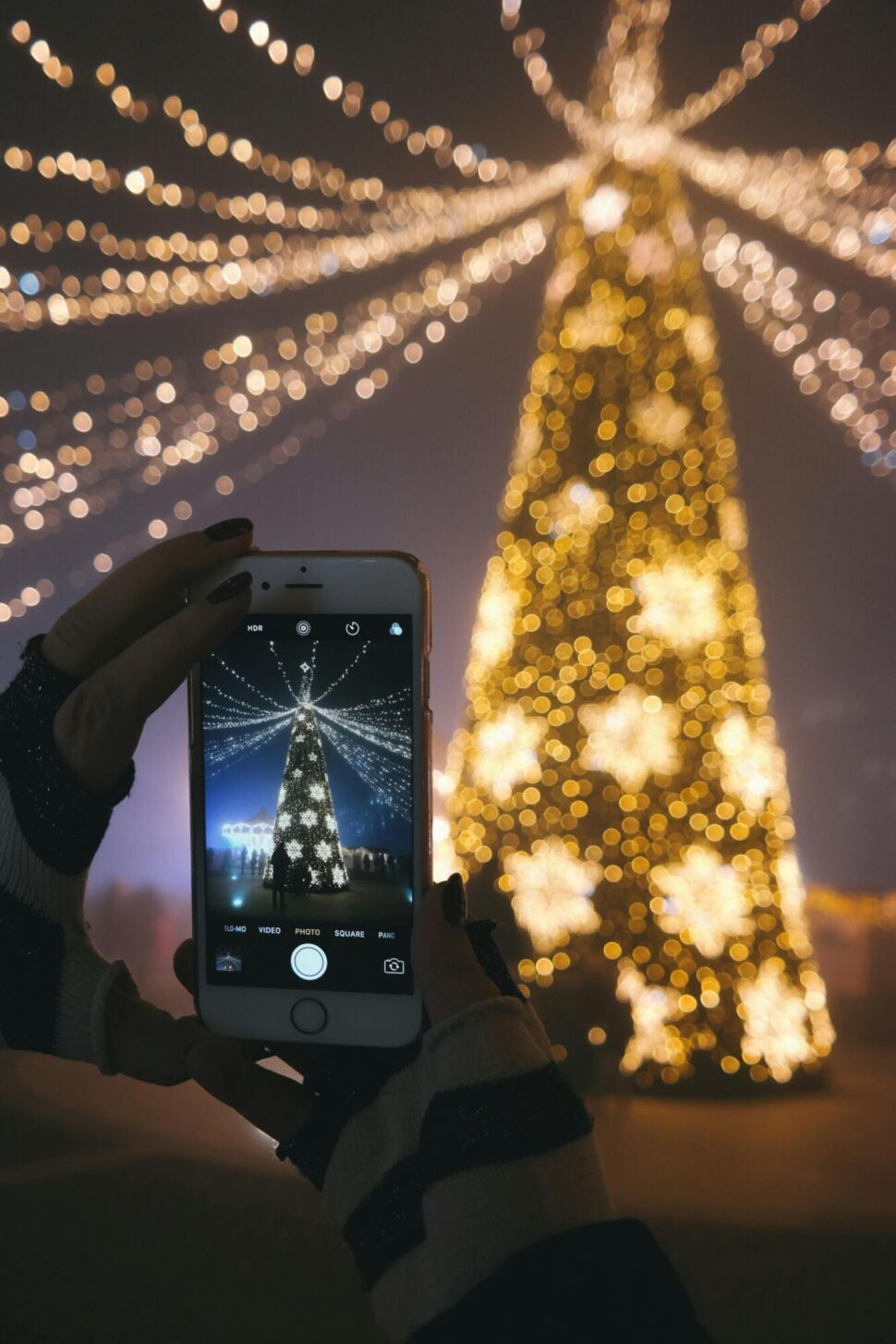 https://www.pexels.com/photo/person-taking-picture-of-gold-lighted-tree-263878/