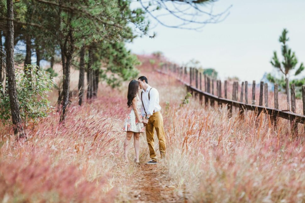 https://www.pexels.com/photo/couple-kissing-beside-trees-219776/